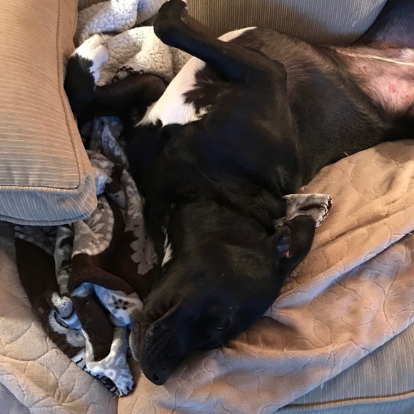 Meet your Posher, Stacie - Picture 6 of 8